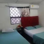 New Iguana House